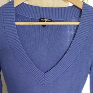 Express V neck sweater